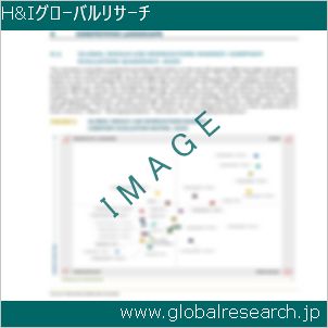 グローバルリサーチ調査レポートのイメージ